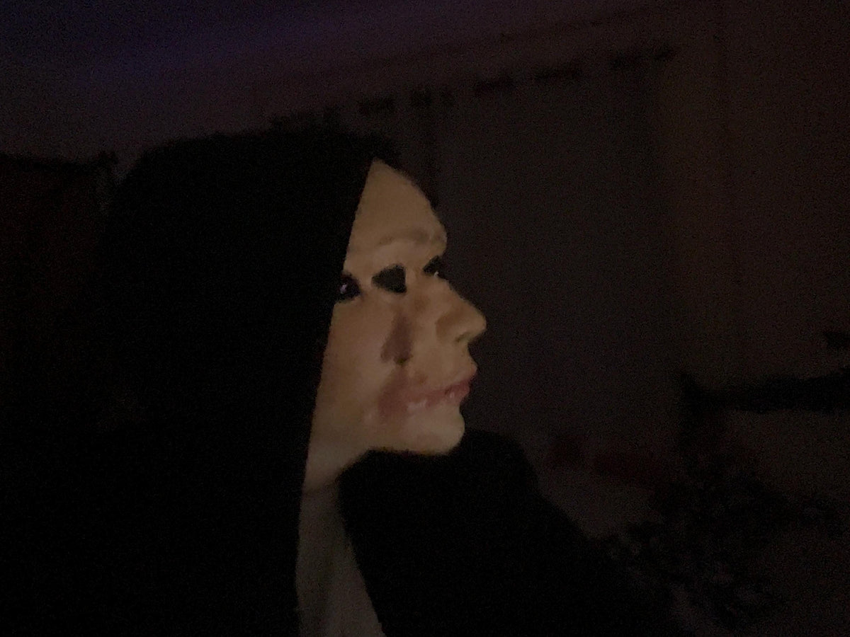 Still Life Halloween mask with velcro straps and two buckram mesh pieces