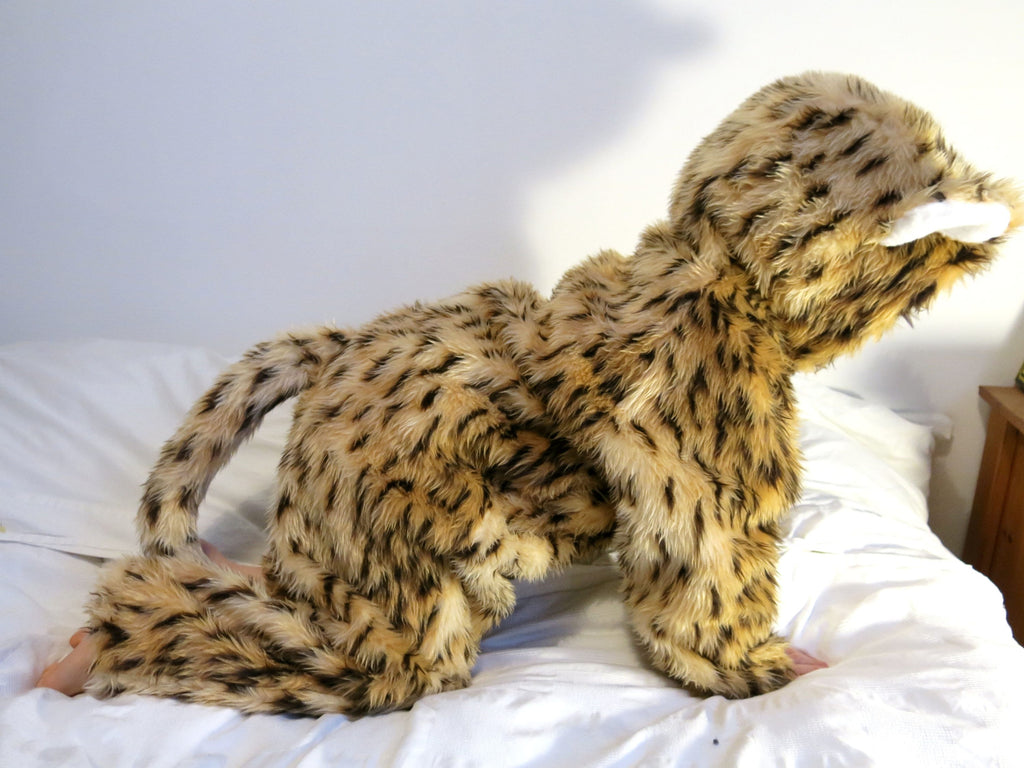 Child in cheetah onesie costume ready for dress-up or Halloween