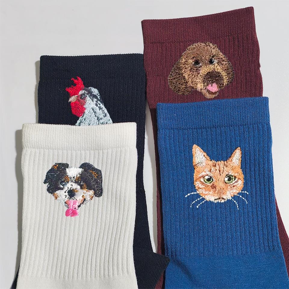 Running fitness outdoor custom embroidered pet socks