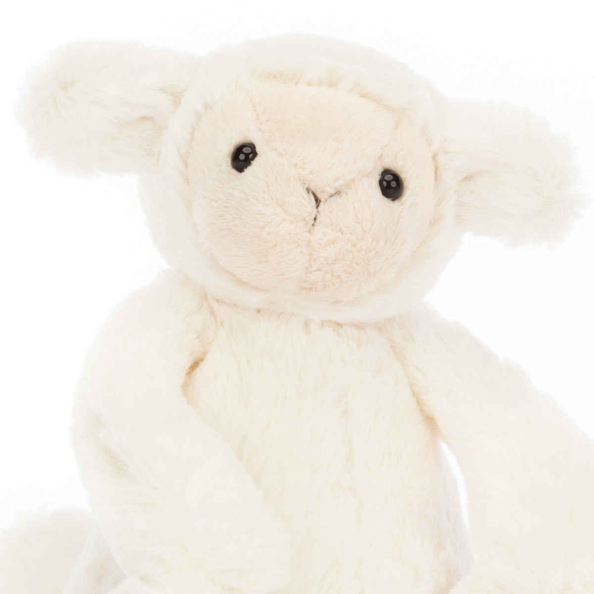 Bashful Lamb Soft Toy | Little