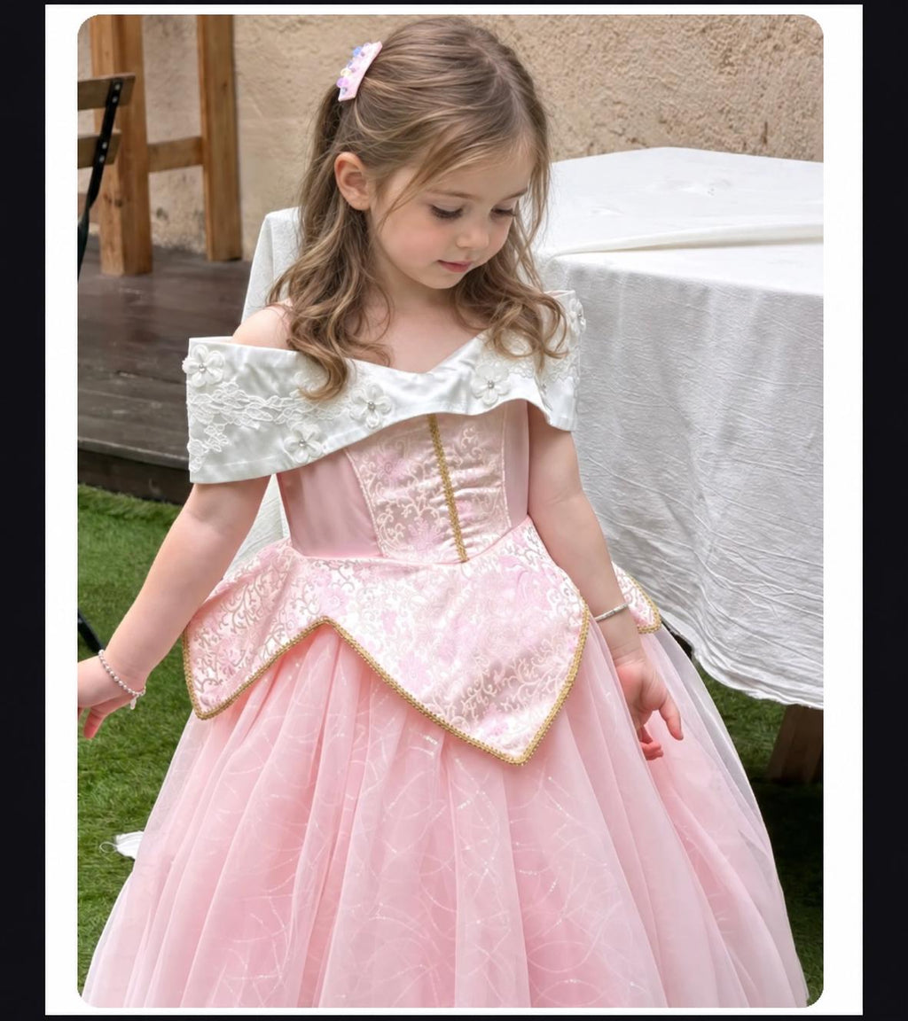 Fully lined Sleeping Beauty dress for first birthday or cake smash